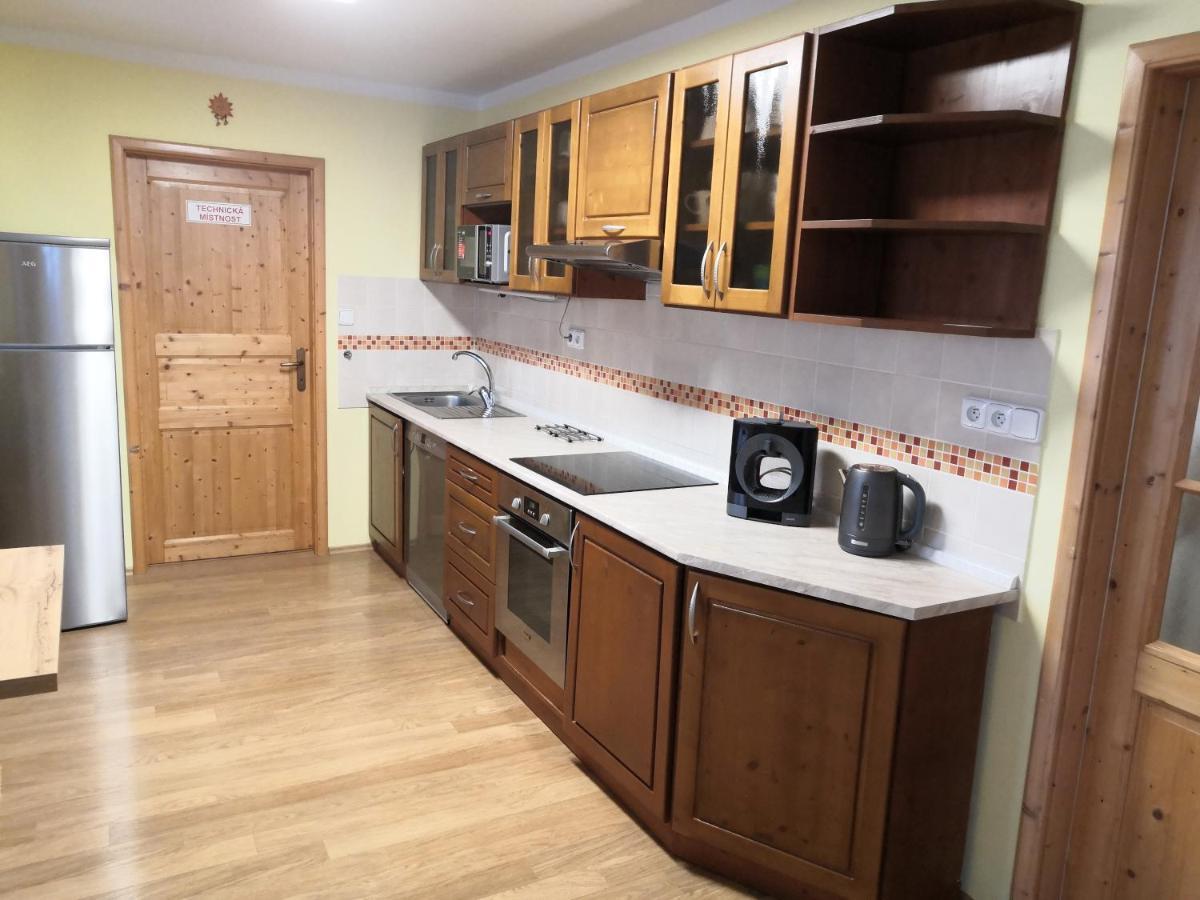 Apartment Lipno Sumava Pro 8 Hostu Lipno nad Vltavou Εξωτερικό φωτογραφία